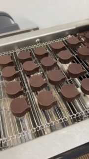 ネコのボンボンショコラ
エンローバーでコーティング
#ボンボンショコラ