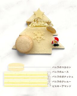 ︴🎅🏻

𝟮𝟬𝟮𝟲 限定クリスマスケーキ
【 スノーツリー 】
（ 3種のバニラ ）
長さ10cm
2~3名様向け
⁡
3種のバニラそれぞれの個性を活かした、こだわりの10層仕立て。
ビスキーアマンドの香ばしさに、ポンパナバニラのムース、ハイブリッドバニラのクレムー、タヒチ種バニラのガナッシュを重ね、異なるバニラの香りと味わいが織りなす奥深い一品に仕上げました。
⁡
⁡ @madam_vanilla_tokyo
@grand_vanille 

ご予約受付開始日
オンライン予約：2026年10月23日（金）〜
店頭予約：2026年10月24日（土）〜⁡

⁡ お電話でのご予約・お取り置きは、
混雑時の混乱やお渡し間違いを防ぐため、
受付は行っておりません。
また、ご予約後のキャンセルはお受けできませんので、
あらかじめご了承ください。

アンジュでごほうび
#燕市  #バニラ
 #ケーキ #スイーツ #カフェ

Fondée en 1999
新潟県燕市のパティスリー

【 吉田店（本店）】👨🏻‍🍳
・駐車場 16台
・イートインなし
📍燕市吉田3651-8
🕒 9:30〜19:00

【 県央店（café）】☕️
・駐車場 9〜10台
・イートインあり
📍燕市井土巻2丁目245
🕒 11:00〜20:00
（日・祝 〜19:00）
café L.O 19:30（日・祝 18:30）

特別な日のケーキや、日常の「ごほうび」としてお立ち寄り下さい☺️ 
⁡
@ange.chef 👨🏻‍🍳

※DMでのご予約は受け付けしておりません🙇🏻
 お電話・店頭にて承ります。

特別な日の甘いものはその瞬間を鮮やかに彩る。
大切な自分への甘いものは頑張った心をやさしく包む。
私たちは  そんな存在になれるように、日々試行錯誤し
安心して口にしてもらえるお菓子を作っています。